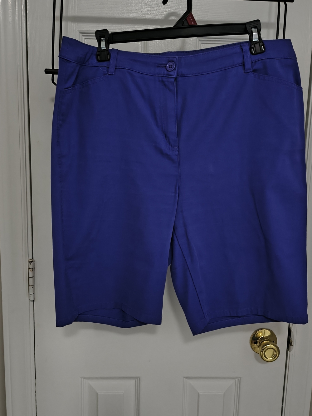 Chico's Vibrant Royal Blue Bermuda Shorts